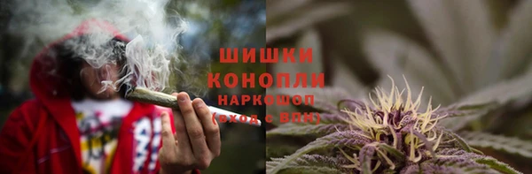 дурь Краснослободск